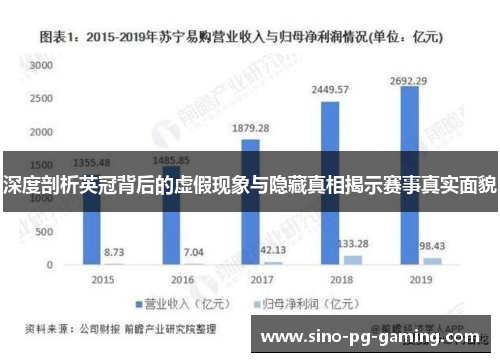 深度剖析英冠背后的虚假现象与隐藏真相揭示赛事真实面貌