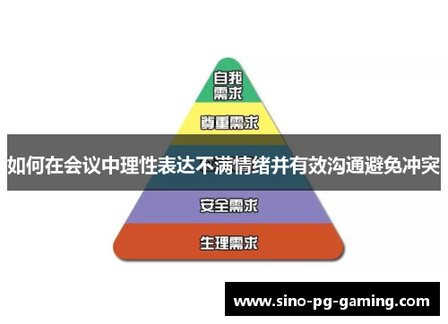 如何在会议中理性表达不满情绪并有效沟通避免冲突