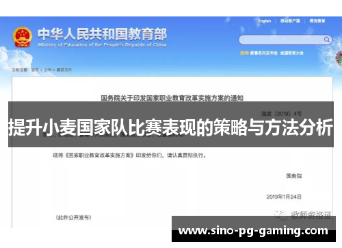 提升小麦国家队比赛表现的策略与方法分析