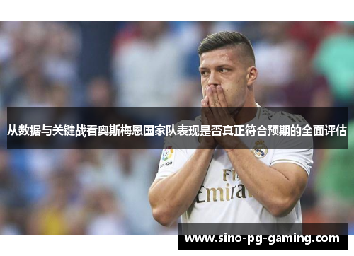 从数据与关键战看奥斯梅恩国家队表现是否真正符合预期的全面评估