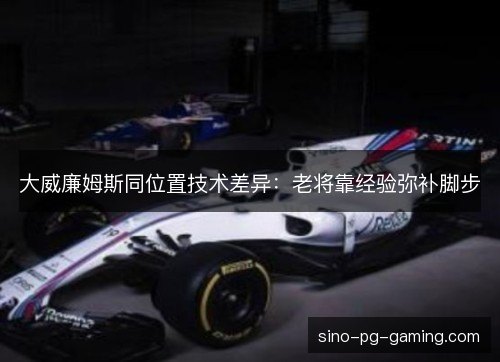 大威廉姆斯同位置技术差异：老将靠经验弥补脚步