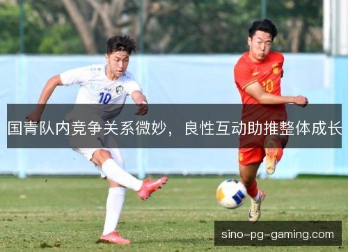 国青队内竞争关系微妙，良性互动助推整体成长